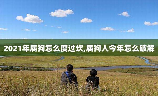 2021年属狗怎么度过坎,属狗人今年怎么破解