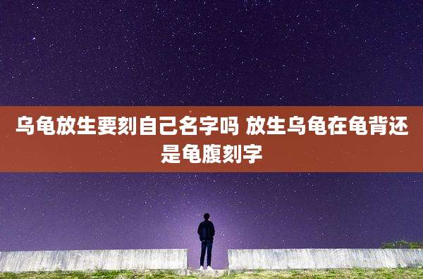 乌龟放生要刻自己名字吗 放生乌龟在龟背还是龟腹刻字