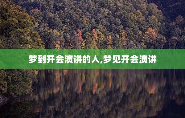 梦到开会演讲的人,梦见开会演讲