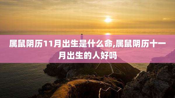 属鼠阴历11月出生是什么命,属鼠阴历十一月出生的人好吗