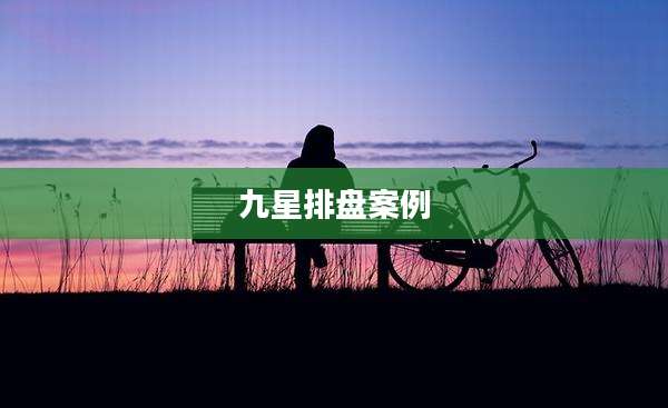 九星排盘案例