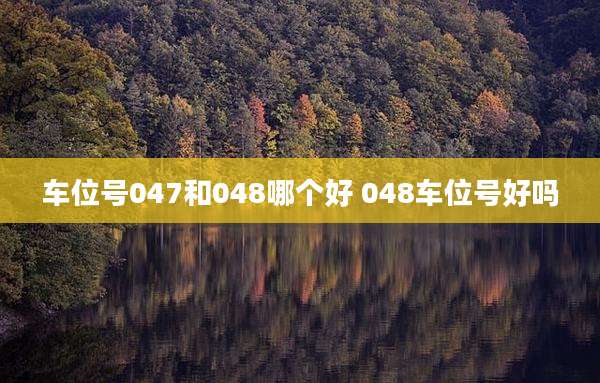 车位号047和048哪个好 048车位号好吗