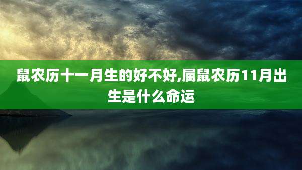鼠农历十一月生的好不好,属鼠农历11月出生是什么命运
