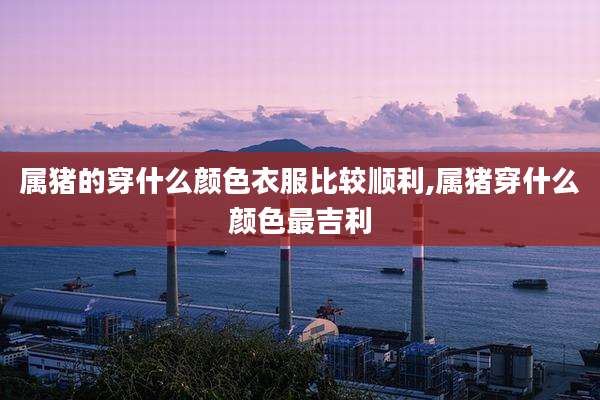 属猪的穿什么颜色衣服比较顺利,属猪穿什么颜色最吉利