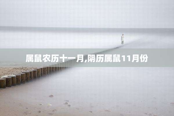 属鼠农历十一月,阴历属鼠11月份