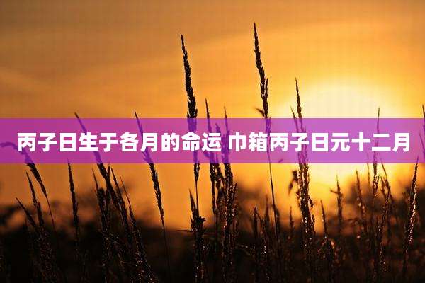 丙子日生于各月的命运 巾箱丙子日元十二月