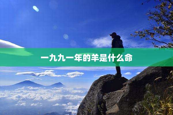 一九九一年的羊是什么命