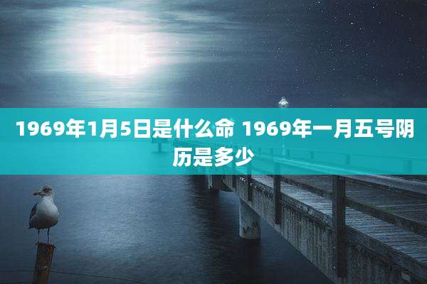 1969年1月5日是什么命 1969年一月五号阴历是多少