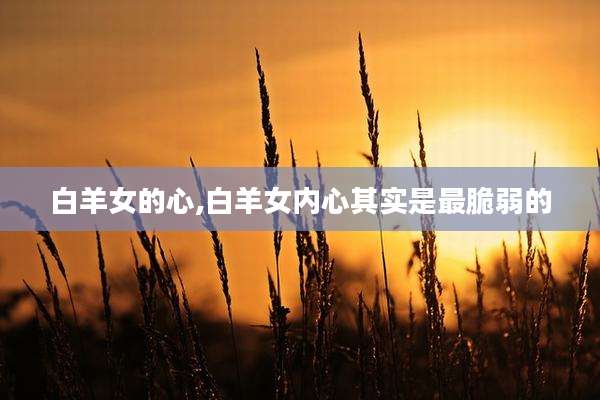 白羊女的心,白羊女内心其实是最脆弱的