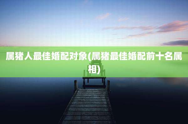 属猪人最佳婚配对象(属猪最佳婚配前十名属相)