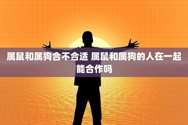 属鼠和属狗合不合适 属鼠和属狗的人在一起能合作吗