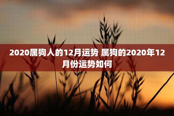 2020属狗人的12月运势 属狗的2020年12月份运势如何