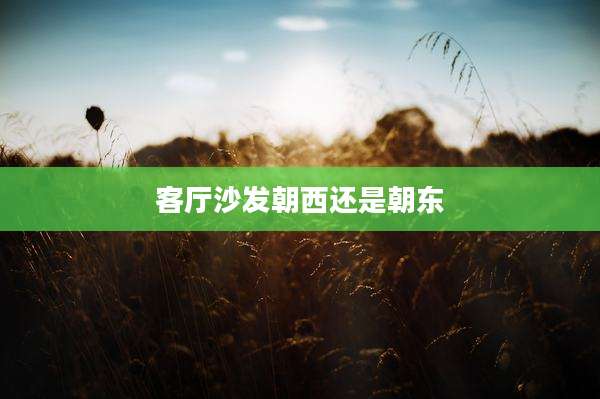 客厅沙发朝西还是朝东