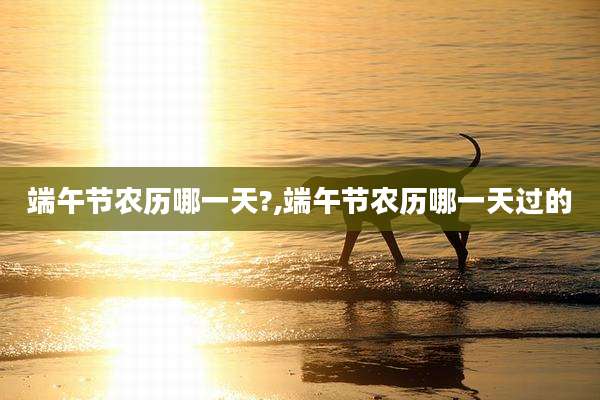 端午节农历哪一天?,端午节农历哪一天过的