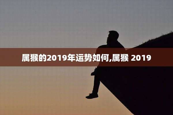 属猴的2019年运势如何,属猴 2019