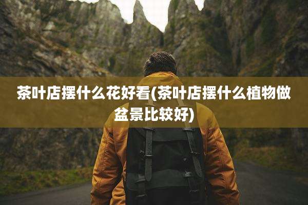 茶叶店摆什么花好看(茶叶店摆什么植物做盆景比较好)