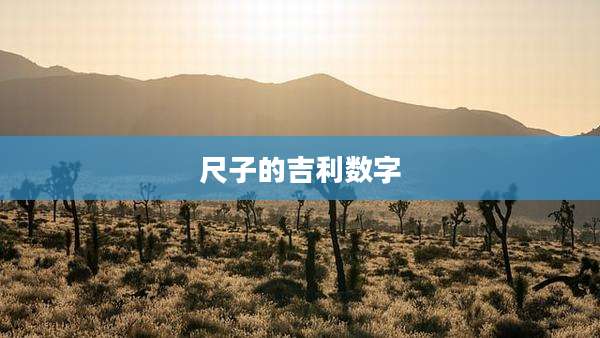 尺子的吉利数字
