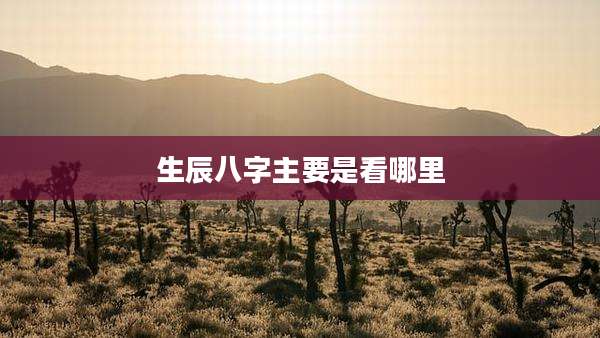 生辰八字主要是看哪里