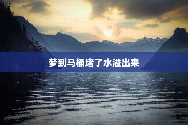 梦到马桶堵了水溢出来