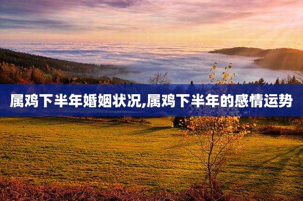 属鸡下半年婚姻状况,属鸡下半年的感情运势