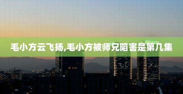 毛小方云飞扬,毛小方被师兄陷害是第几集