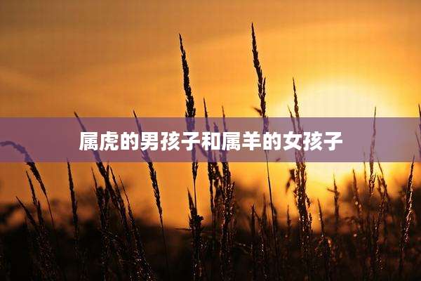 属虎的男孩子和属羊的女孩子