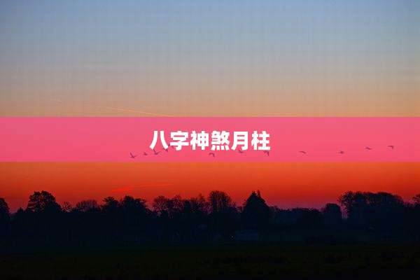 八字神煞月柱
