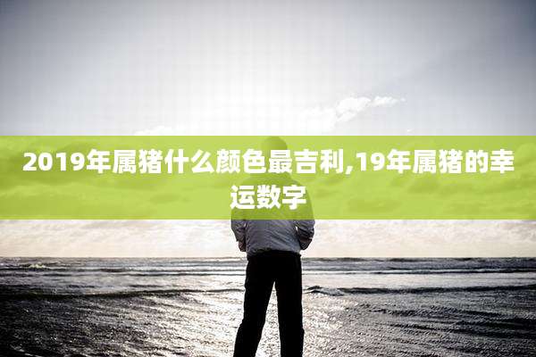 2019年属猪什么颜色最吉利,19年属猪的幸运数字