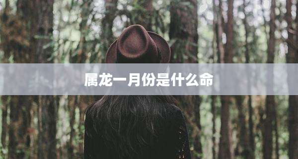 属龙一月份是什么命