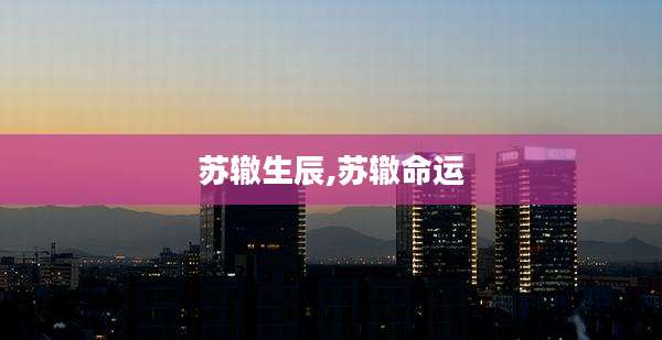 苏辙生辰,苏辙命运
