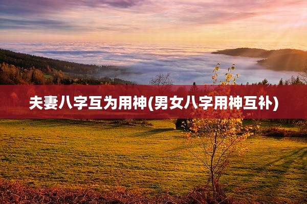 夫妻八字互为用神(男女八字用神互补)