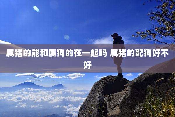 属猪的能和属狗的在一起吗 属猪的配狗好不好