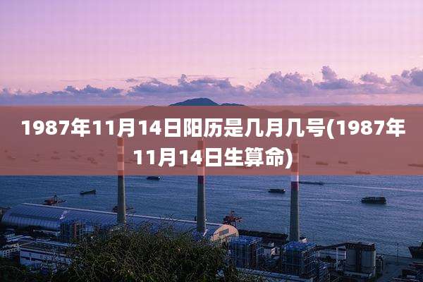 1987年11月14日阳历是几月几号(1987年11月14日生算命)