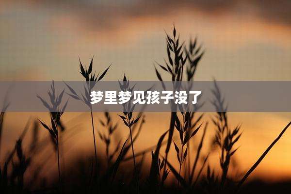 梦里梦见孩子没了