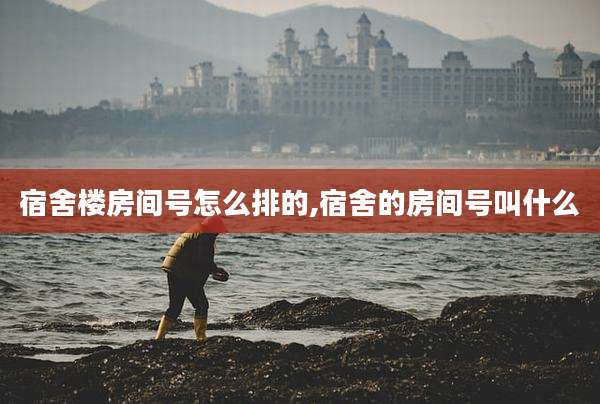 宿舍楼房间号怎么排的,宿舍的房间号叫什么