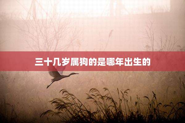 三十几岁属狗的是哪年出生的