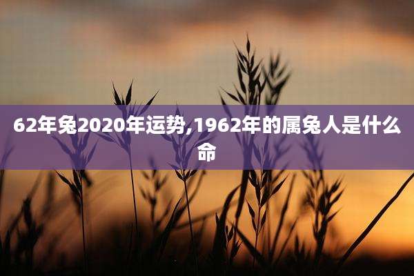 62年兔2020年运势,1962年的属兔人是什么命