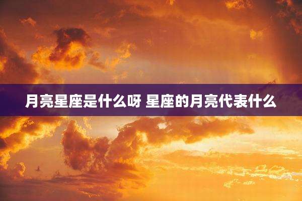 月亮星座是什么呀 星座的月亮代表什么