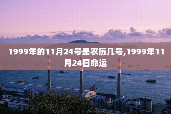 1999年的11月24号是农历几号,1999年11月24日命运