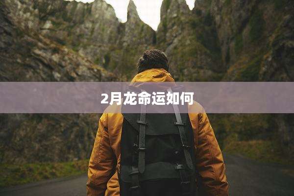2月龙命运如何