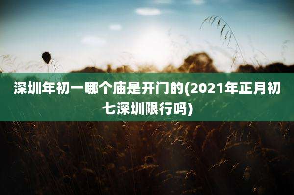 深圳年初一哪个庙是开门的(2021年正月初七深圳限行吗)