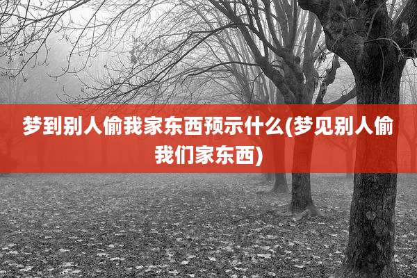 梦到别人偷我家东西预示什么(梦见别人偷我们家东西)
