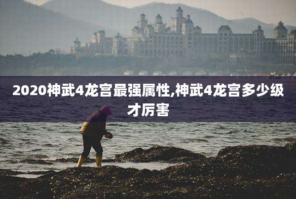 2020神武4龙宫最强属性,神武4龙宫多少级才厉害