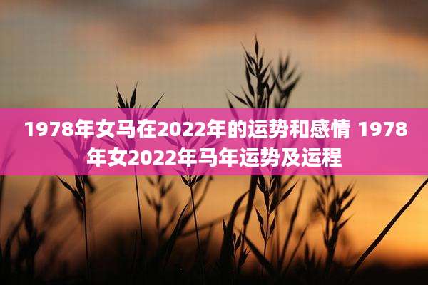 1978年女马在2022年的运势和感情 1978年女2022年马年运势及运程