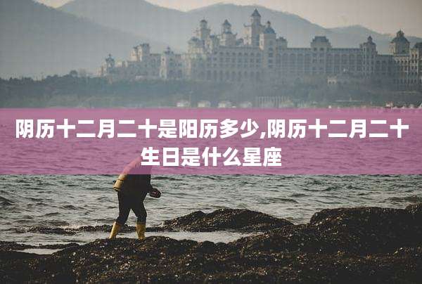 阴历十二月二十是阳历多少,阴历十二月二十生日是什么星座