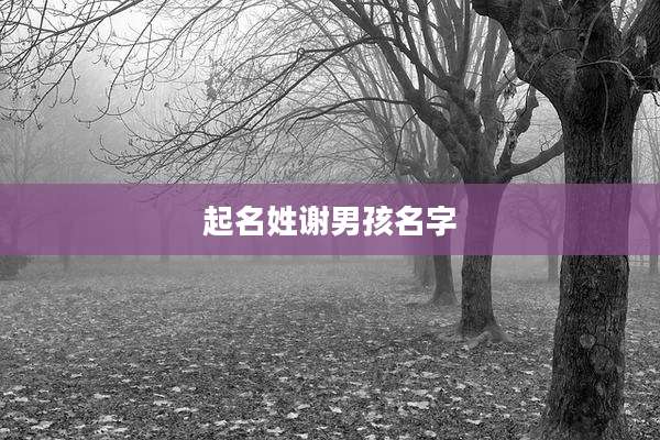 起名姓谢男孩名字