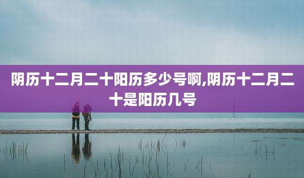 阴历十二月二十阳历多少号啊,阴历十二月二十是阳历几号