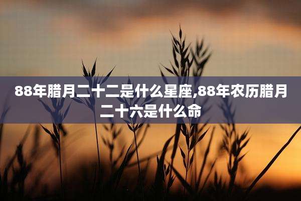 88年腊月二十二是什么星座,88年农历腊月二十六是什么命
