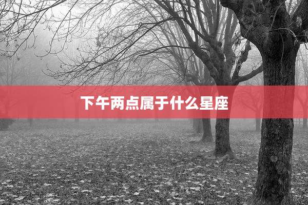 下午两点属于什么星座
