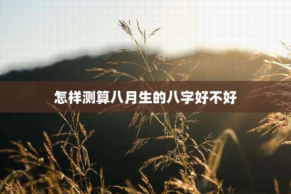 怎样测算八月生的八字好不好